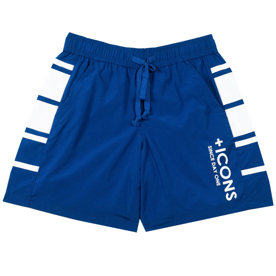 Hudson Shorts - +Icons Nylon Short - Blue - 566