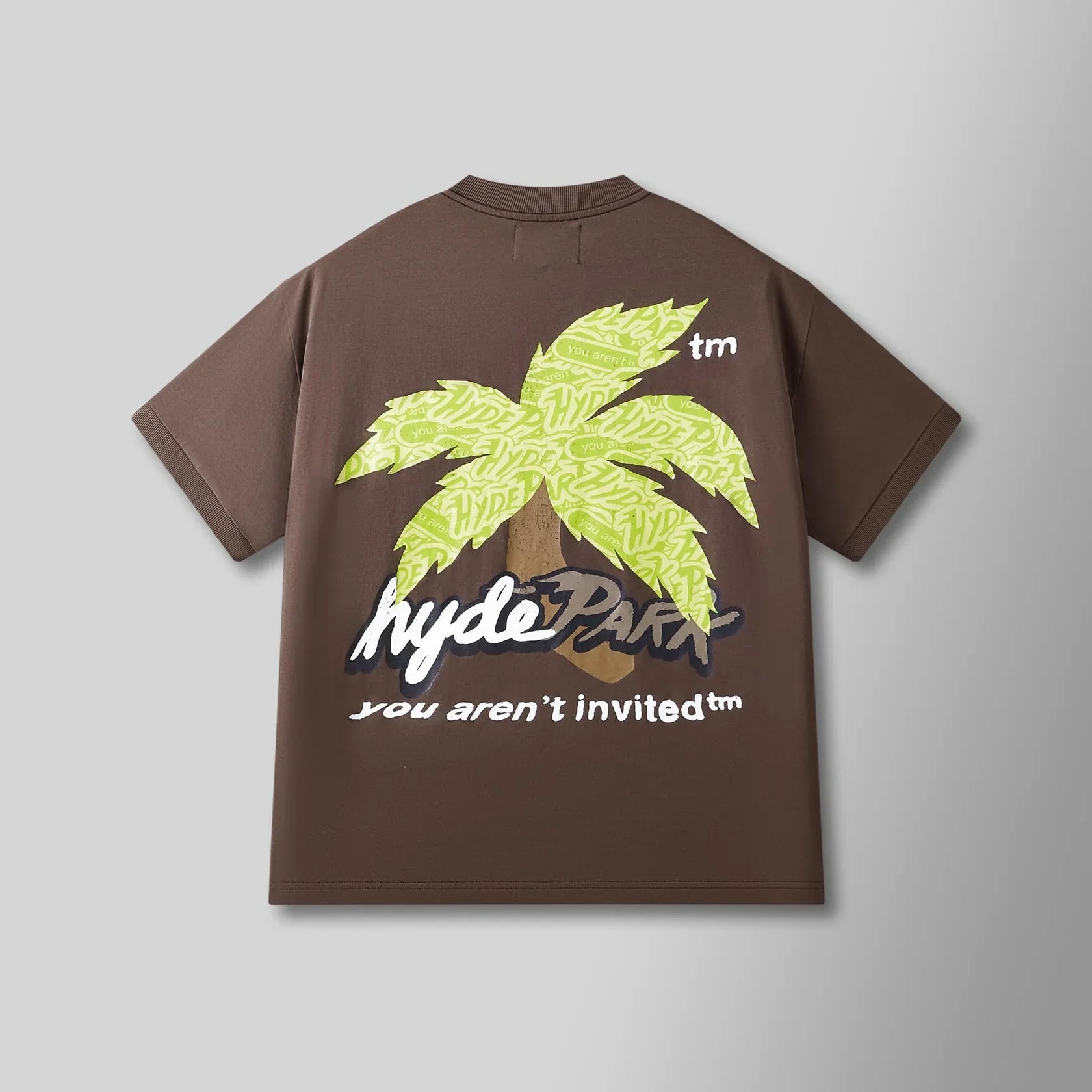 Hyde Park T-Shirt - Paradise Park Ringer Tee- Black Sand