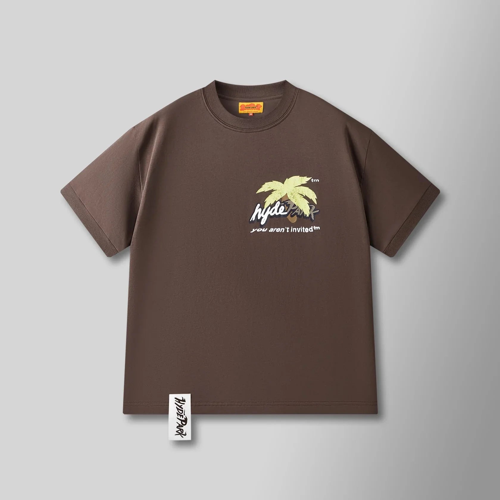 Hyde Park T-Shirt - Paradise Park Ringer Tee- Black Sand