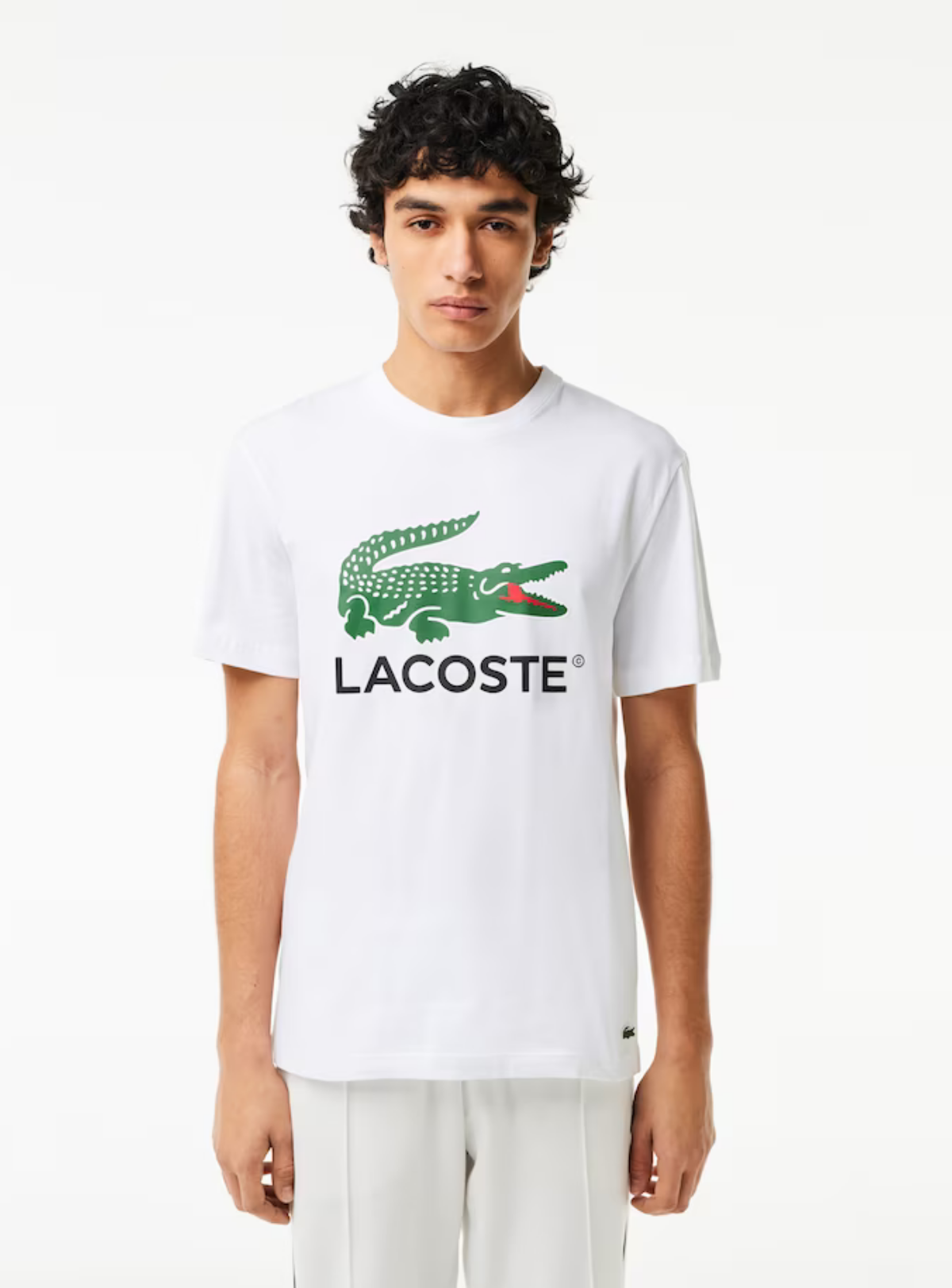 Lacoste T-Shirt - Men's Cotton Jersey Signature Print - White 001 - TH1285