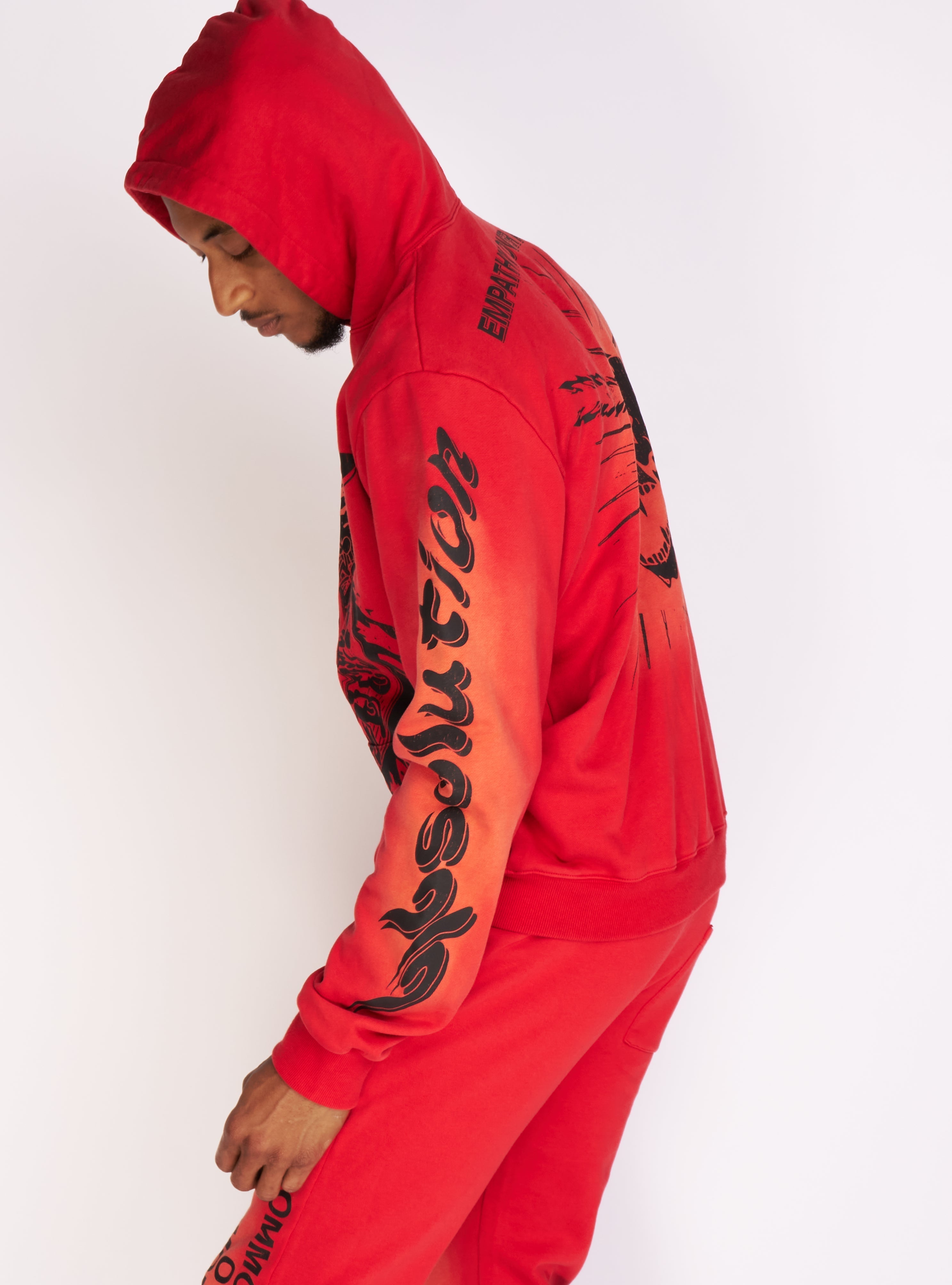 Politics Hoodie - Dennis - Red Wash - 722