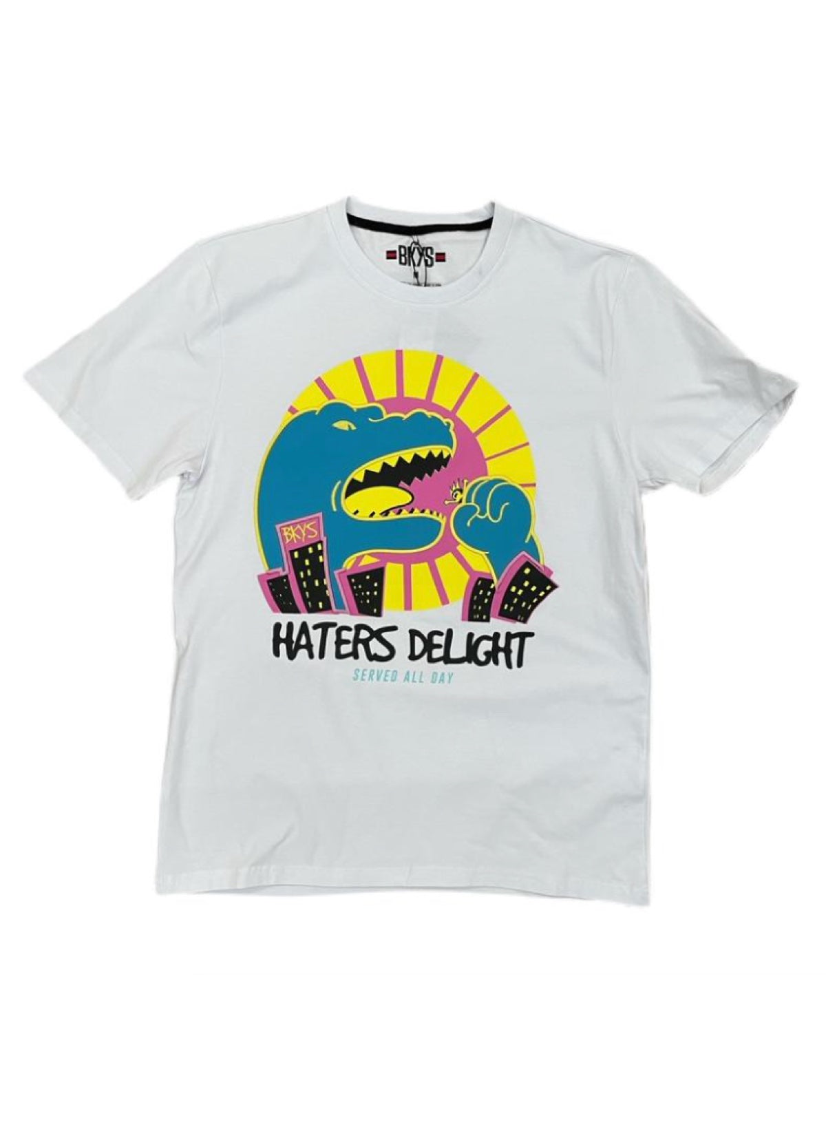 Bkys T-Shirt - Hater's Delight - White - T290