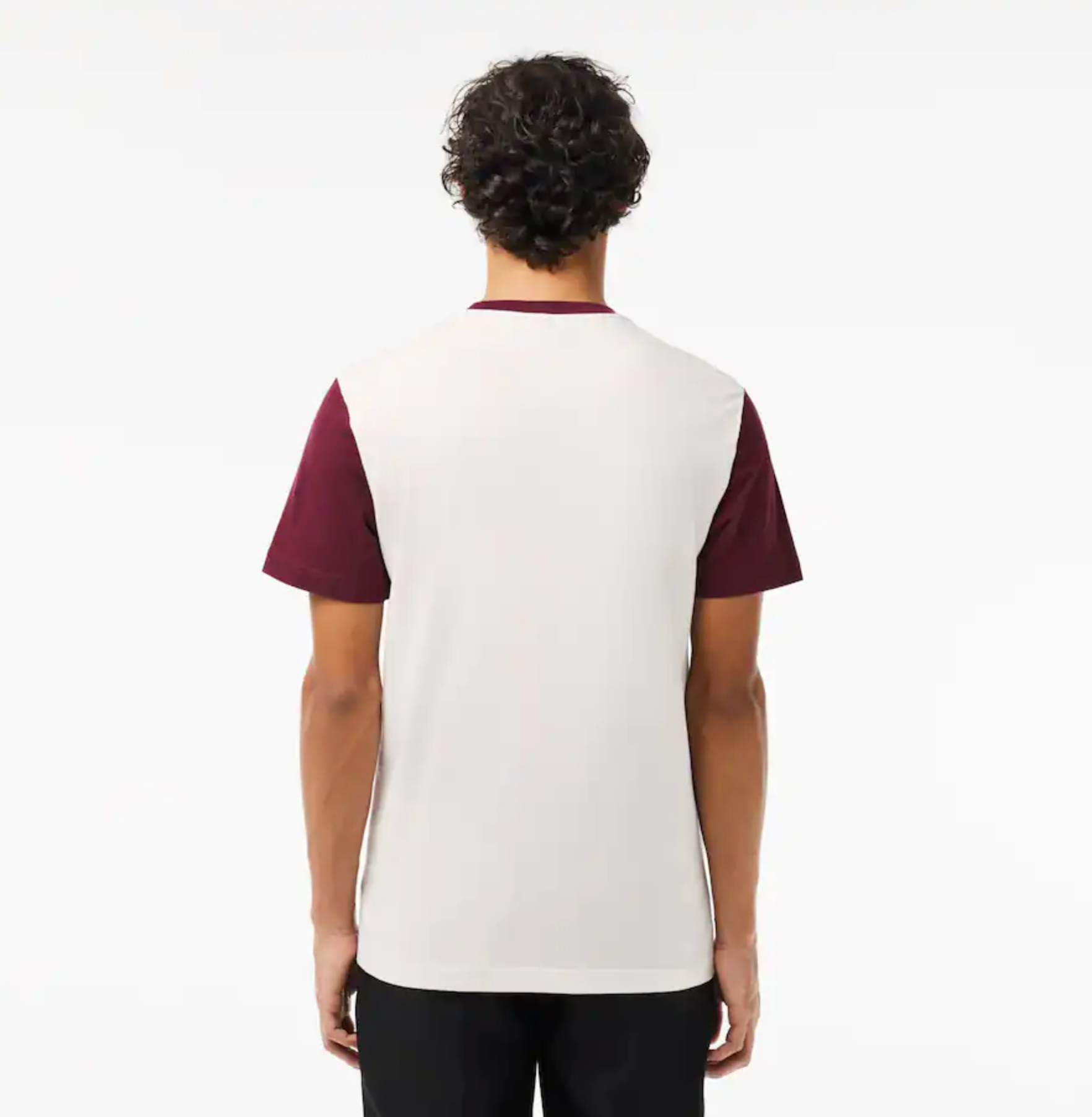 Lacoste T-Shirt -  Men's Regular Fit Colorblock - White  - TH1298-51