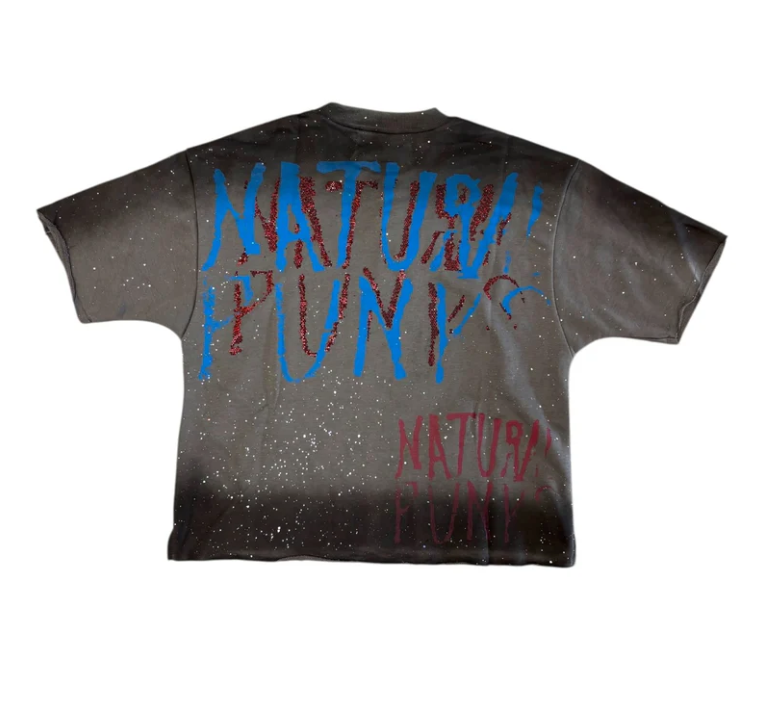 Bkys T-Shirt - No Fear Cropped - Grey  - T1385