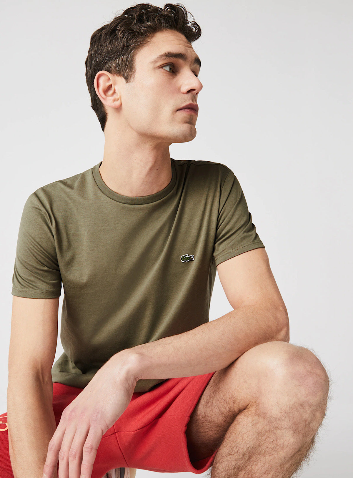 Lacoste T-Shirt - Crewneck Pima Cotton Jersey - Khaki Green-316 - TH6709